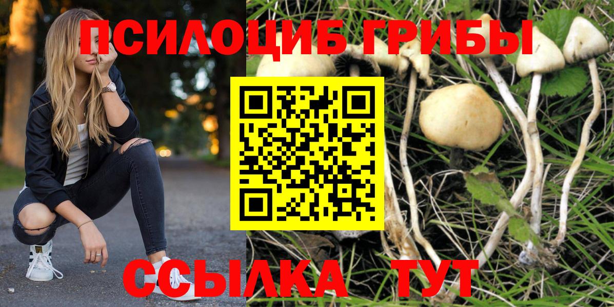 Галлюциногенные грибы GOLDEN TEACHER Белгород