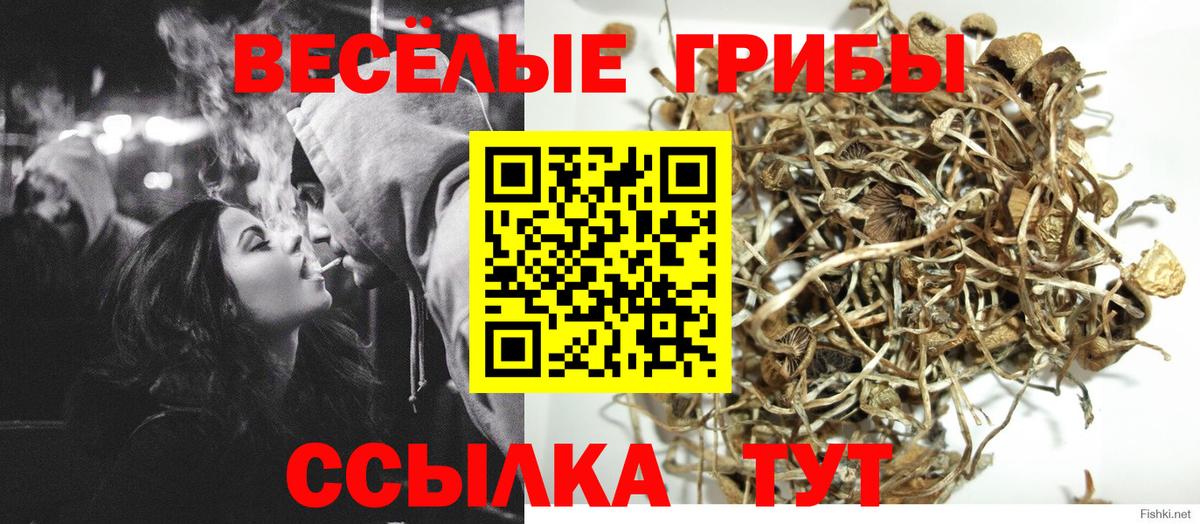 Белгород  Галлюциногенные грибы ЛСД  Вход с VPN 