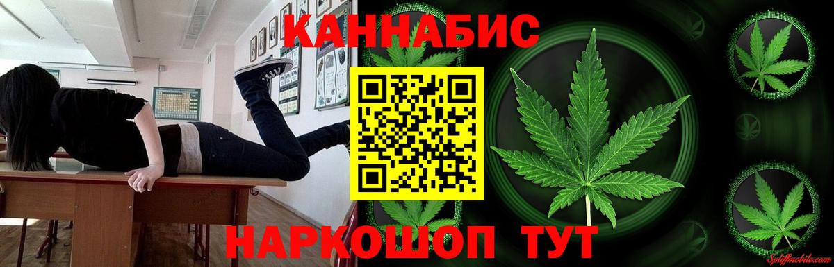 Каннабис конопля Белгород